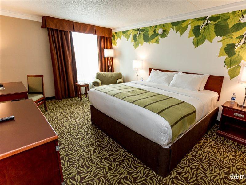 Varscona Hotel On Whyte Edmonton Ngoại thất bức ảnh